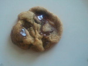 small chewy, browned cookie on a white background.